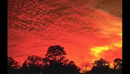 Seyduna Türküleri - Emrah Altınok - Gule