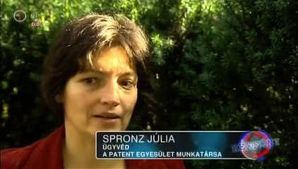 Kekfeny.2013.09.30.DVBrip.XviD.Hun-ufo