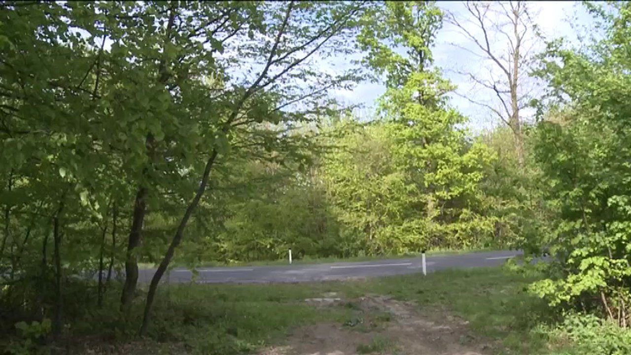 Essai Mazda CX-5 SKYACTIV-D 2.2 175 ch AWD Sélection