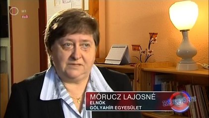 Kekfeny.2013.11.25.DVBrip.XviD.Hun-ufo