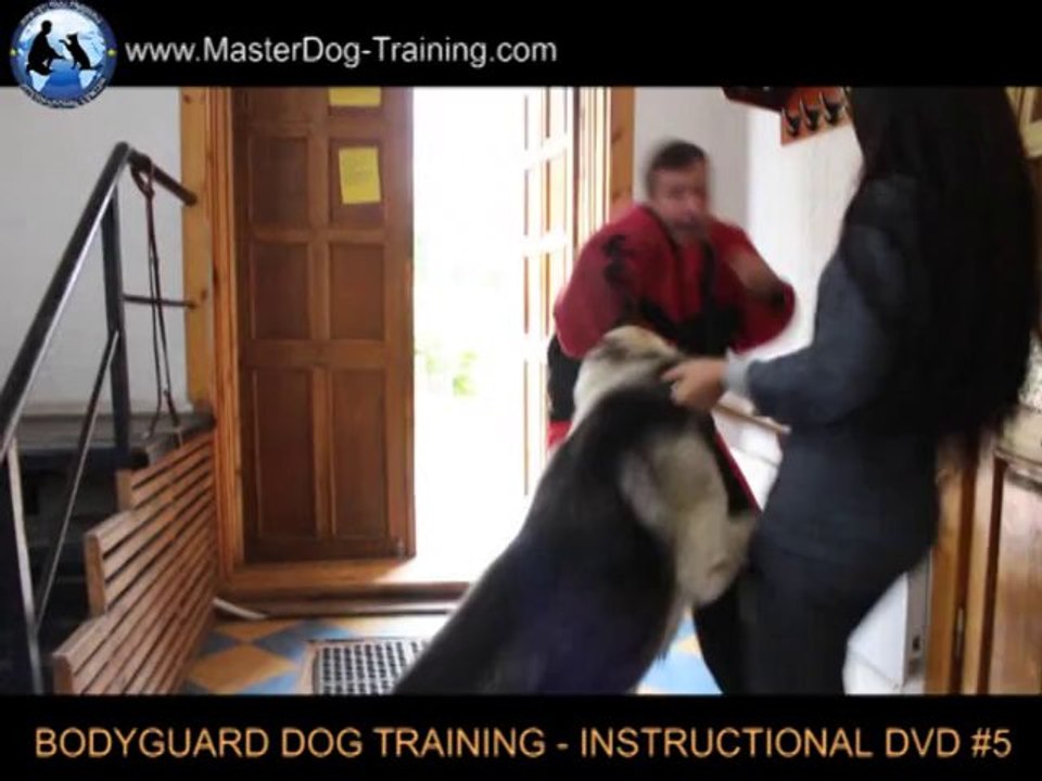 Bodyguard dog Level Two - How to Train a Dog - Instructional Video