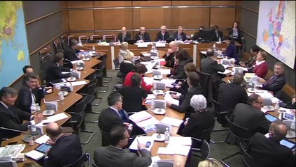 Politique de développement et de solidarité internationale - Mercredi 29 Janvier 2014