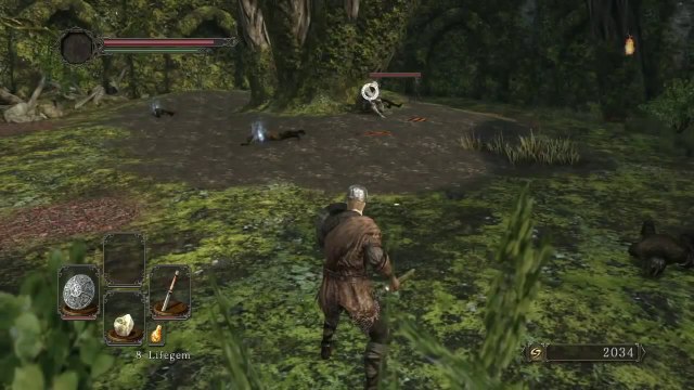 Dark Souls 2 Extended Gameplay (B-Roll)