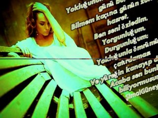 ŞİMALGÜNEY ( HASRET UZUN BİR YOL )