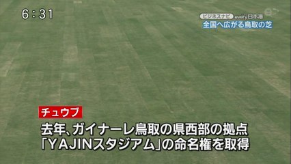 山陰ビジネスＮａｖｉ　全国へ広がる鳥取の芝