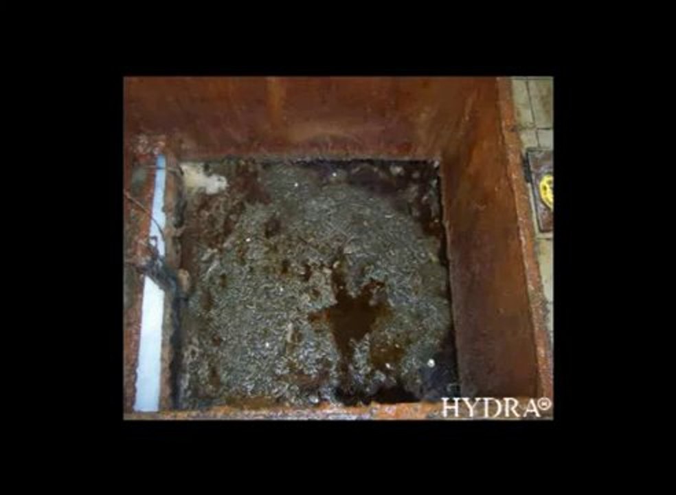 Hydra GreaseEater Liquid for cleaning grease traps video Dailymotion