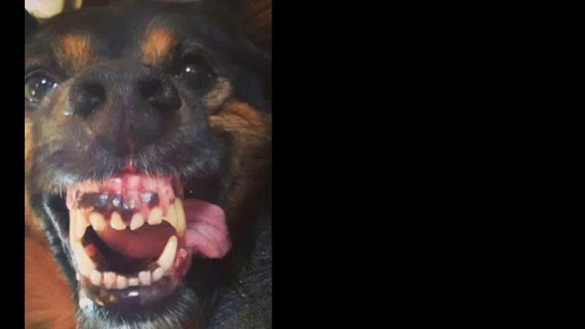 Miami Home Inspection | Atlantic Building Inspections