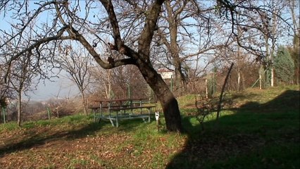 Engelli bakım merkezi