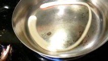 Beer Poured Into Hot Pan Reacts Amazingly