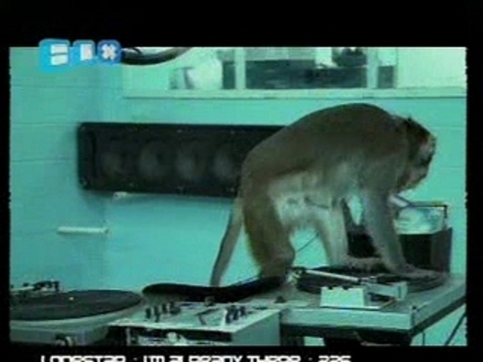 Basement Jaxx - Where's Your Head At