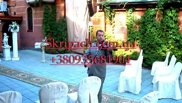 Скрипка Киев