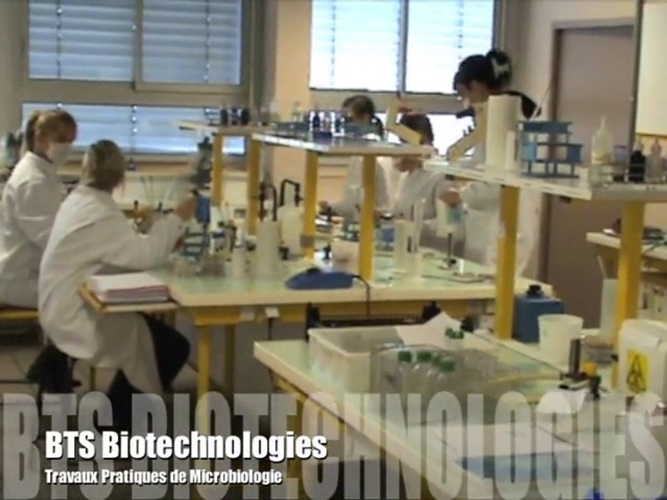 Formation BioSciences Lycée Marie CURIE-MARSEILLE