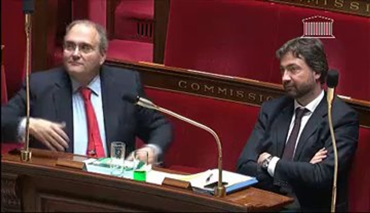 Débat à l'Assemblée Nationale sur l'avenir de la SNCM - Dominique TIAN