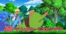 ポケットモンスター エックスワイ