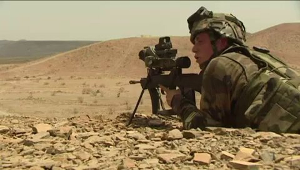 Armée de Terre Française - Léquipement Félin