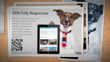 Emperor Responsive MultiPurpose Theme Download