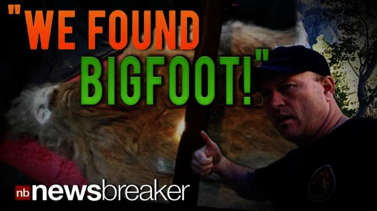 "WE FOUND BIGFOOT!": Man Releases Photos of Sasquatch He Claims to Have Captured in September