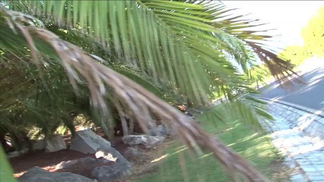 Essai Audi A7 Sportback 3.0 TDI 245 ch