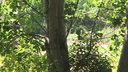 Essai Mini Cooper S Countryman