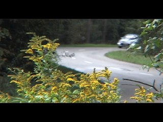 Ford Mondeo restylée