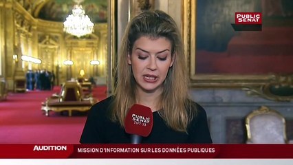 Audition de Serge Blisko - Audition