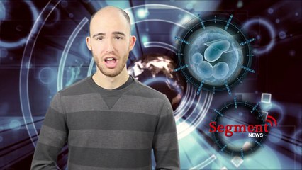 In Vitro Fertilization Risks Might Dwarf Benefits