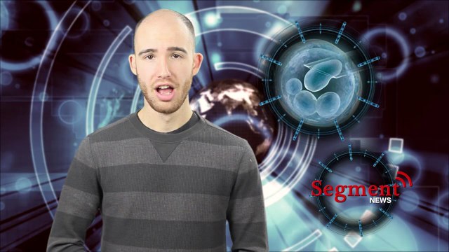 In Vitro Fertilization Risks Might Dwarf Benefits