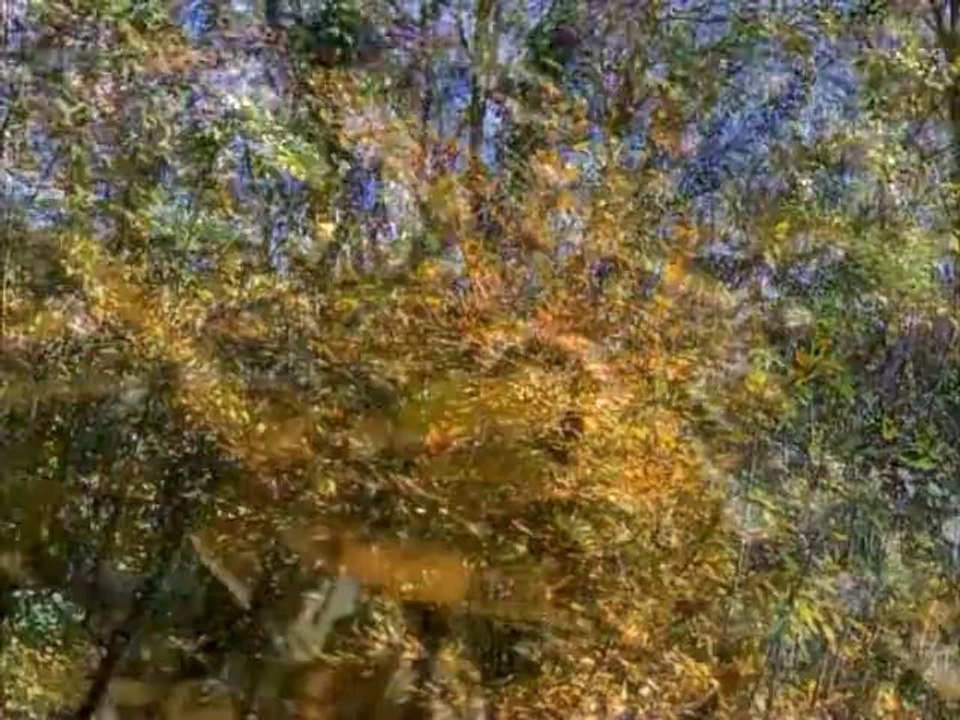 Εκδήλωση με θέμα ''Το Επενδυτικό Σχέδιο Ανάπτυξης των μεταλλείων στις Σκουριές και οι περιβαλλοντικές, οικονομικές και κοινωνικές προεκτάσεις του''   [Μέρος 1]