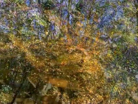 Εκδήλωση με θέμα ''Το Επενδυτικό Σχέδιο Ανάπτυξης των μεταλλείων στις Σκουριές και οι περιβαλλοντικές, οικονομικές και κοινωνικές προεκτάσεις του'' [Μέρος 1]