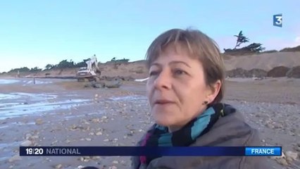 Faut-il protéger les dunes de l'île de Ré contre les grandes marées ?