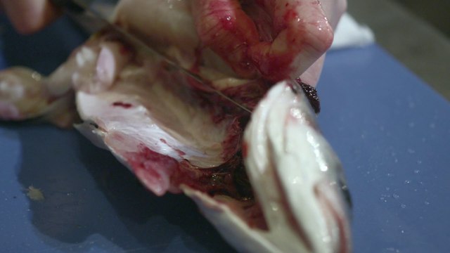 Tomas Barfod - Pulsing (feat. Nina K) (Official Video)