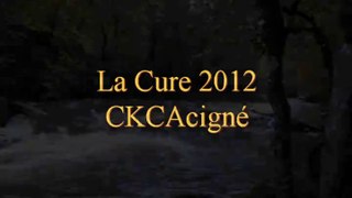 La Cure 2012
