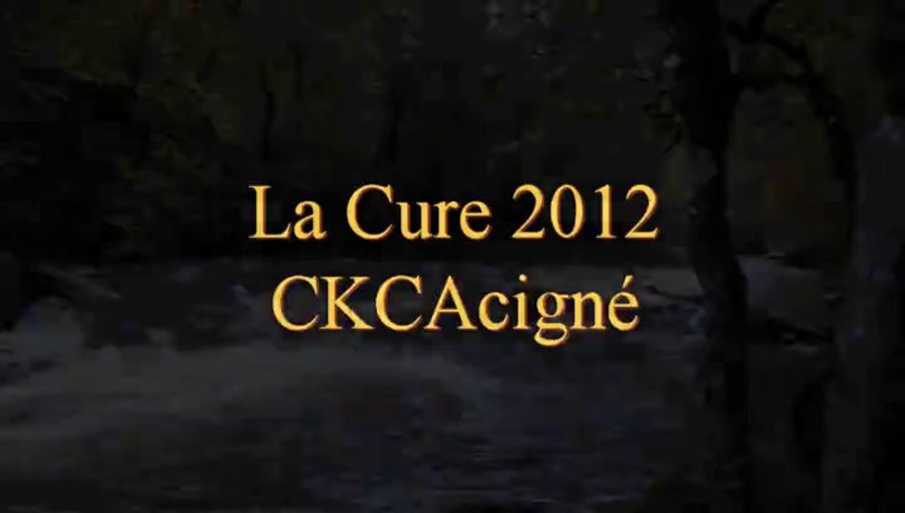 La Cure 2012