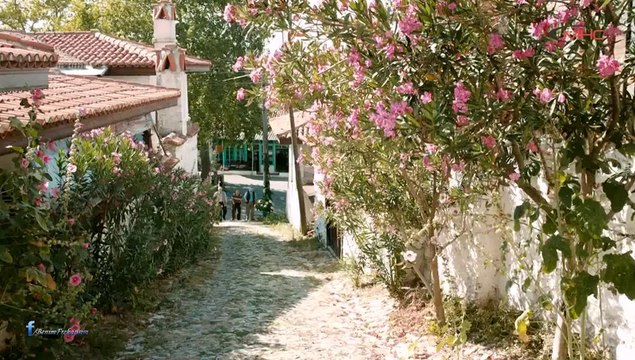 Sürgün İnek \ Fragman