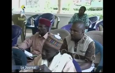 DERNIER  JTV  TCHAD FRANçAIS DU JEUDI 30 JANVIER 2014 SUR TOL