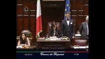 Roma - Camera - 17° Legislatura - 137° seduta (12.12.13)