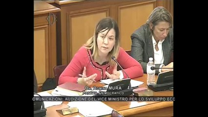 Roma - Privatizzazione Poste, audizione Catricalà (21.01.14)