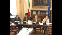 Roma - Audizioni su servitù militari (15.01.14)