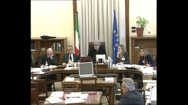 Roma - Commissione ambiente - Rappresentanti ILVA (27.12.13)