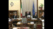 Roma - Audizione di rappresentanti della FIAT (12.12.13)