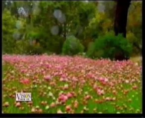 Naats 2 Shabir Ahmad Sarkar-7