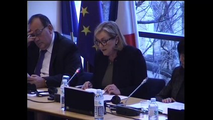 Communication sur l'Ukraine - Mercredi 29 Janvier 2014