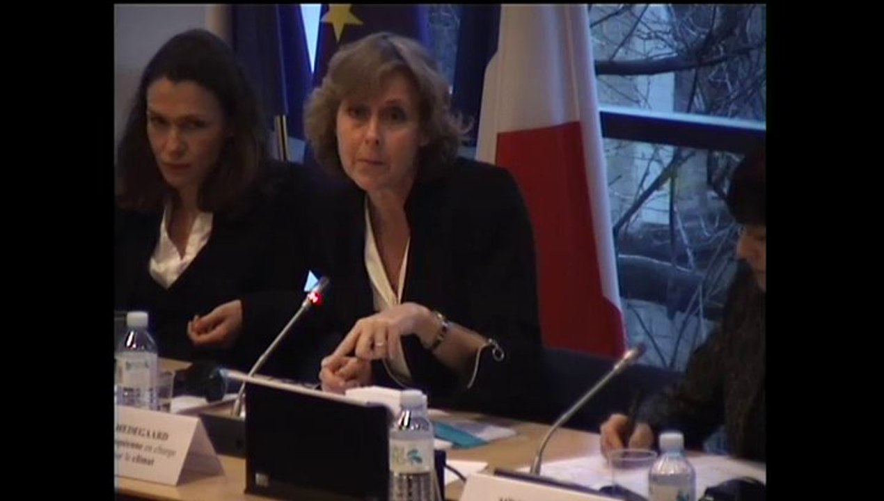 Audition de Mme Connie Hedegaard, commissaire européenne chargée de l'action pour le climat - Mercredi 29 Janvier 2014