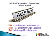 SAP MDG (Master Data Governance) online tutorial