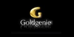 Launching the Goldgenie 24CT Gold iPad Air & iPad mini Retina