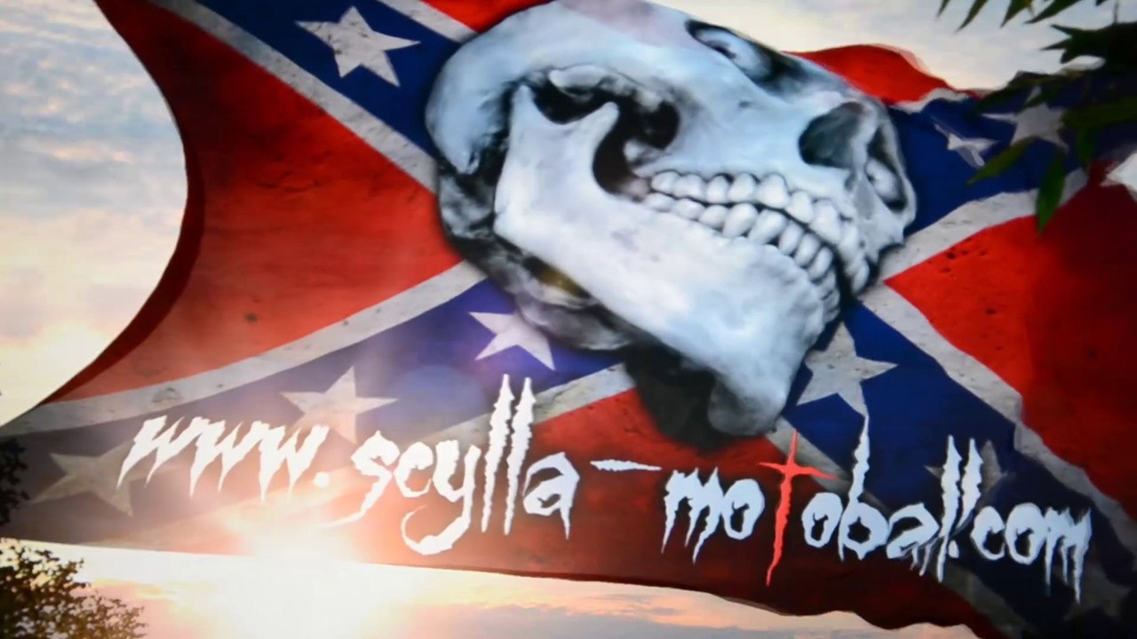 rebel flag 5