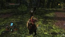 Dark Souls 2 - Bande-annonce de gameplay
