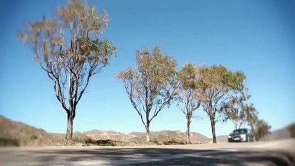 BMW Série 5 restylée