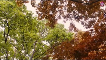 César 2014 : Retrouvez tous les nommés