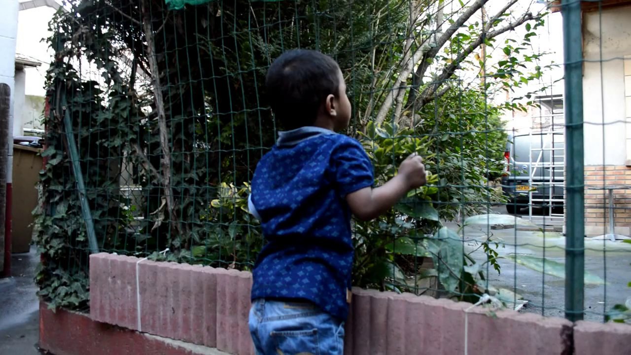 Sharushan 2nd Birthday Mixing - Media Stars